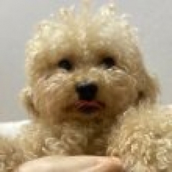profile_image